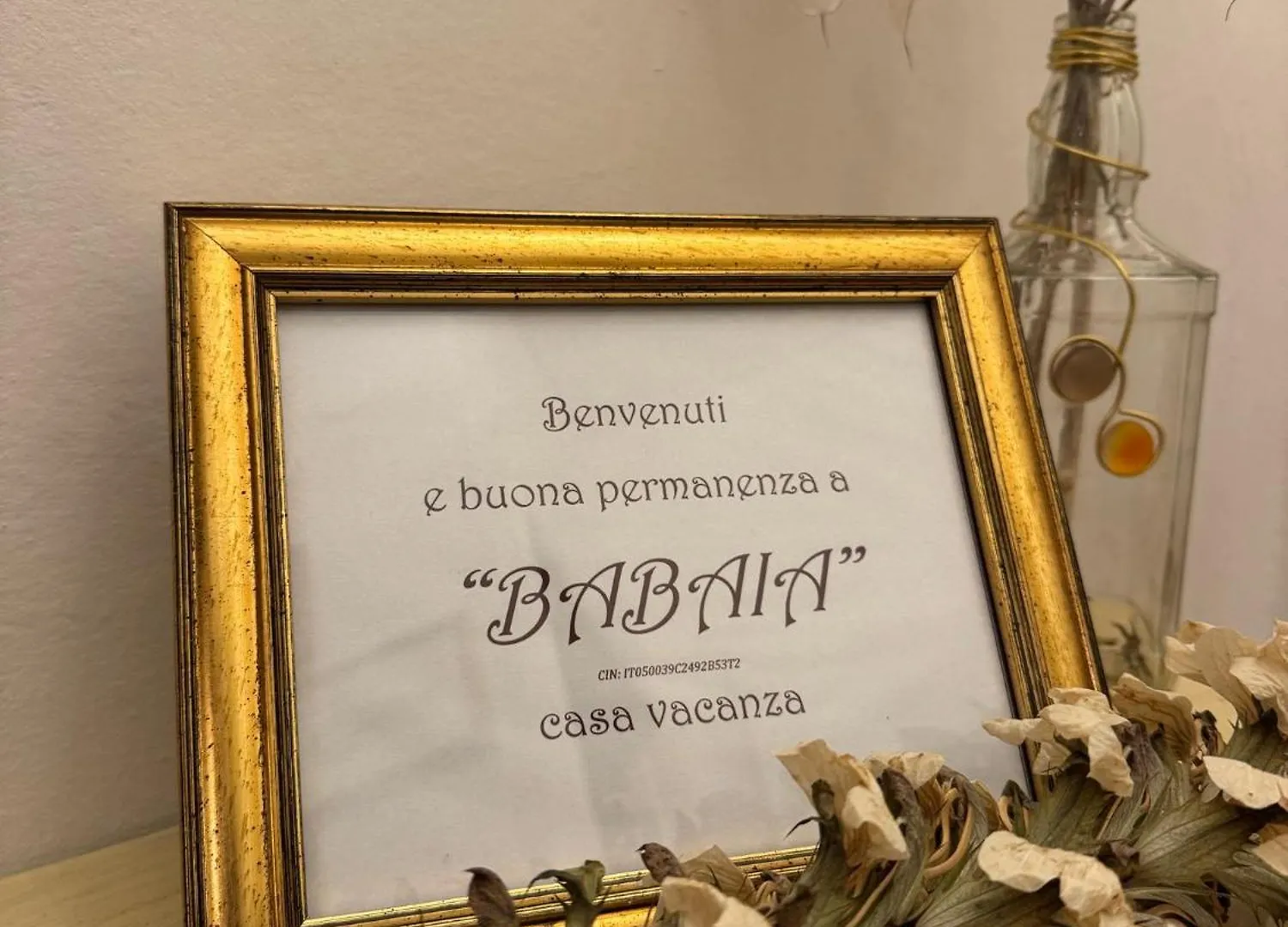 Babaia Daire Volterra