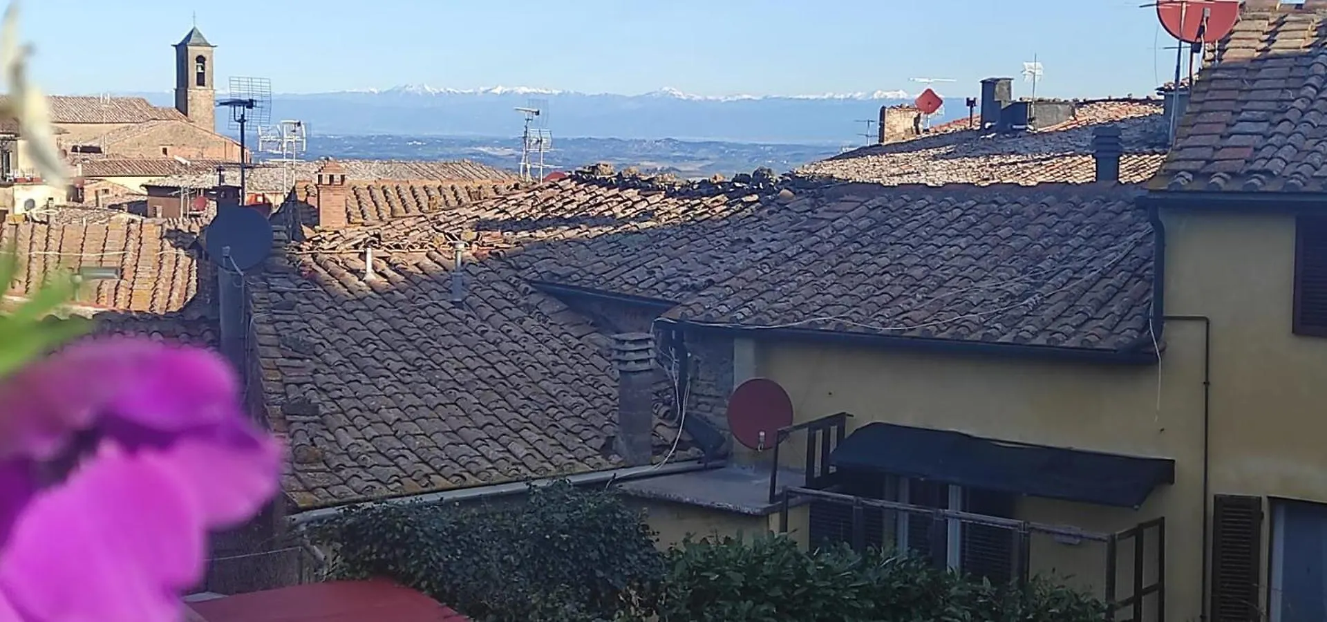 Babaia Daire Volterra