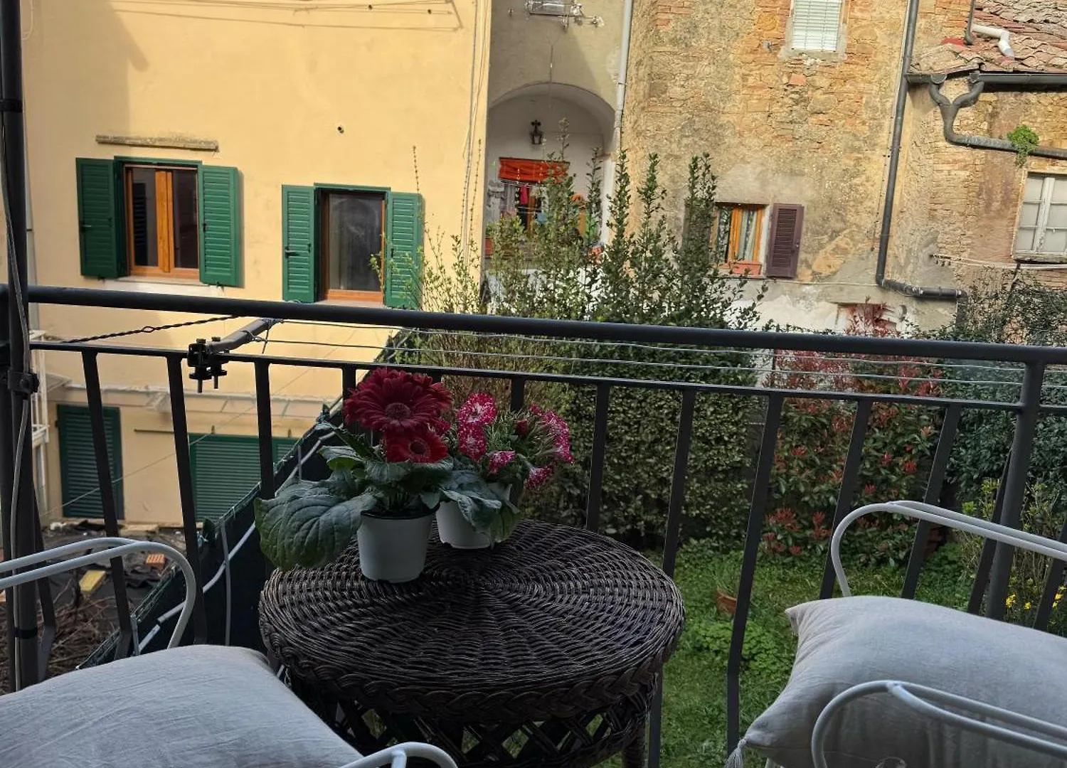 Babaia Daire Volterra